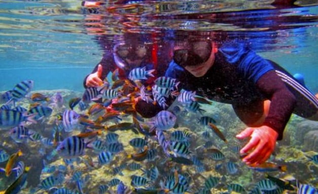 Apa saja keistimewaan Kanawa Island Labuan Bajo?