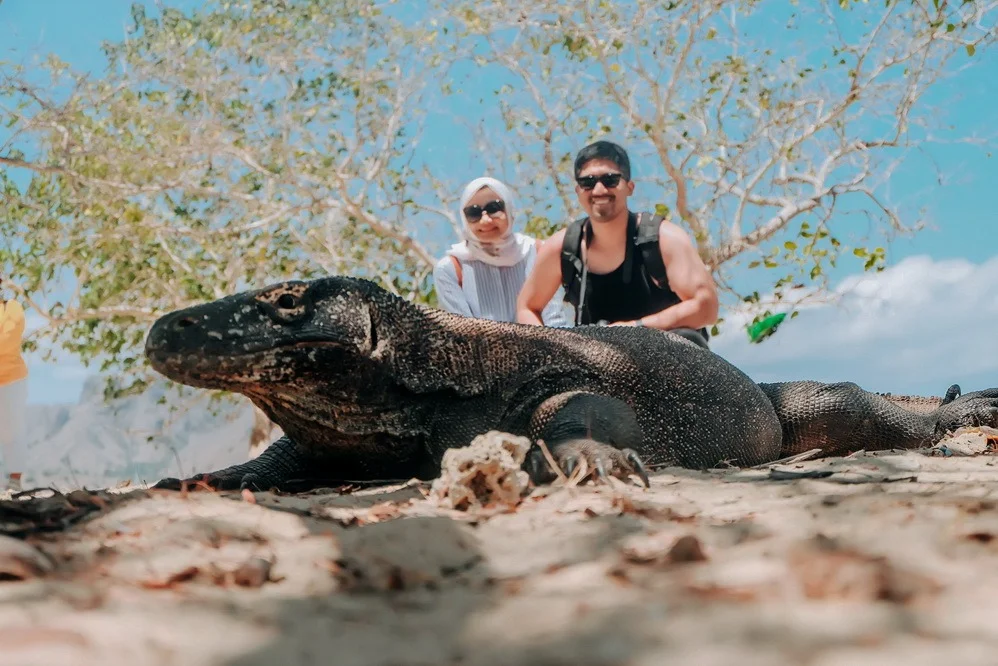 What is Komodo Island famous for?